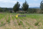 Finca rústica en venda a la España, Riudarenes, ref.: TR291216 foto