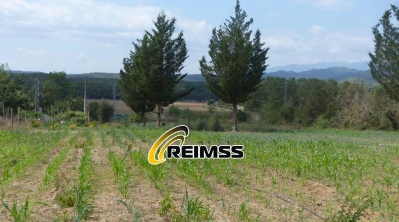 Gerona - Riudarenes - 22000m2