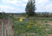 Finca rústica en venda a la España, Riudarenes, ref.: TR291216 foto
