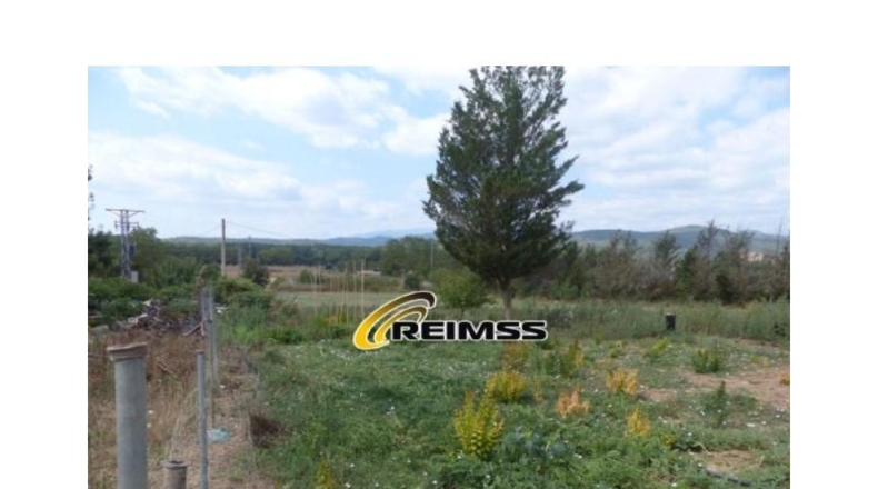 Gerona - Riudarenes - 22000m2