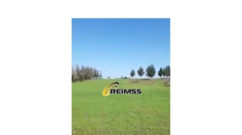 Gerona - Riudarenes - 22000m2