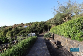 Mazo 7376&nbsp;m² 