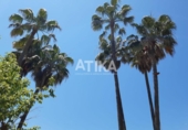 Detached villa with land for sale on España, Ontinyent, ref: TR366644 photo