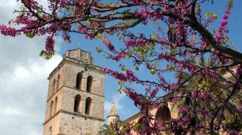Illes Balears - Muro - 178m2