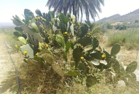 Foto 8