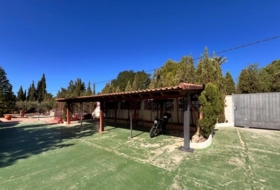 Foto 7