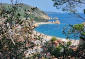 Parcela urbanizable en venta en la España, Tossa de Mar, ref: TR124220 foto