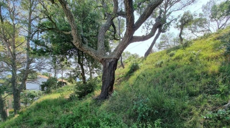 Gerona - Tossa de Mar - 1131m2