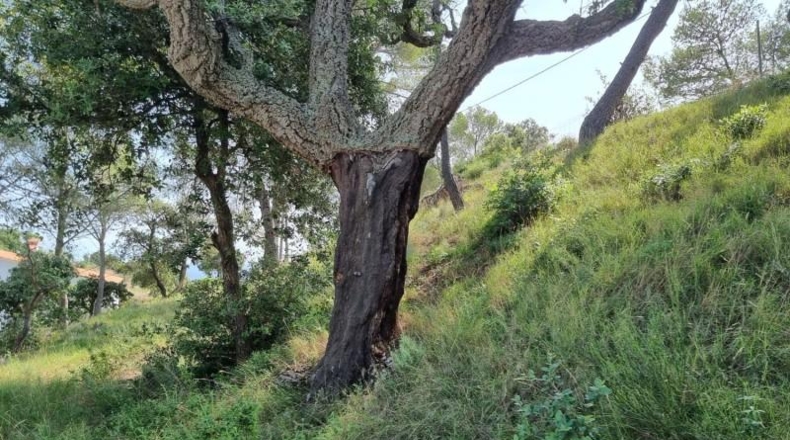 Gerona - Tossa de Mar - 1131m2