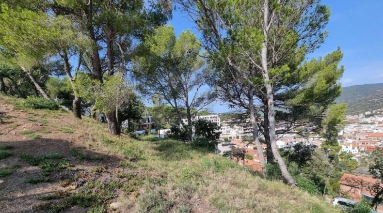 Gerona - Tossa de Mar - 1131m2