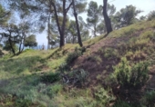 Parcela urbanizable en venta en la España, Tossa de Mar, ref: TR124220 foto