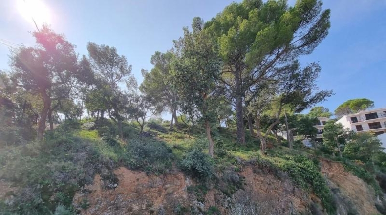Gerona - Tossa de Mar - 1131m2