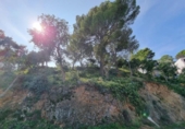 Parcela urbanizable en venta en la España, Tossa de Mar, ref: TR124220 foto