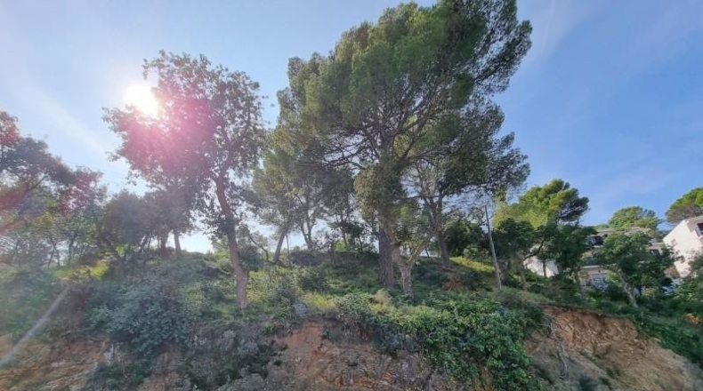 Gerona - Tossa de Mar - 1131m2