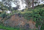 Parcela urbanizable en venta en la España, Tossa de Mar, ref: TR124220 foto