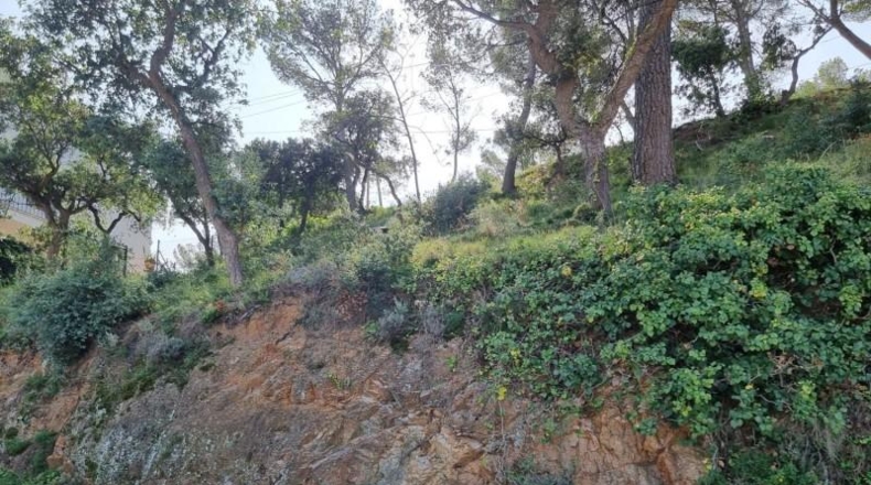Gerona - Tossa de Mar - 1131m2