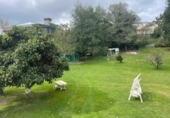 Casa con terreno en venta en la España, Ber, ref: TR302346 foto