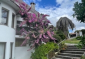 Casa con terreno en venta en la España, Ber, ref: TR302346 foto