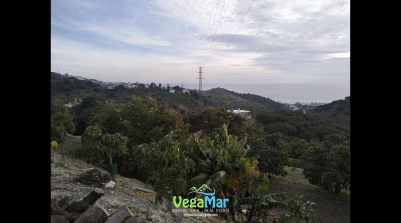 Santa Cruz de Tenerife - San Sebastián de la Gomera - 15000m2