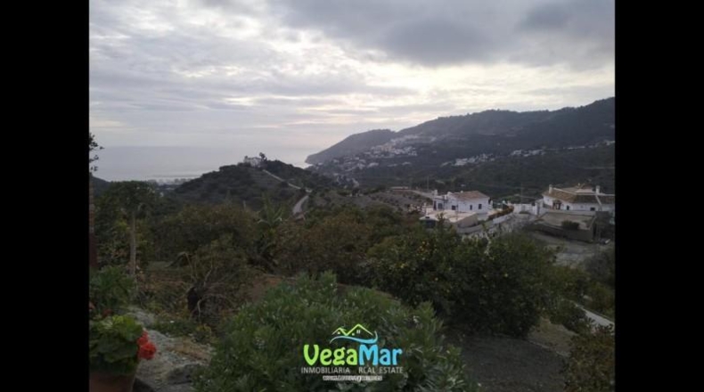Santa Cruz de Tenerife - San Sebastián de la Gomera - 15000m2