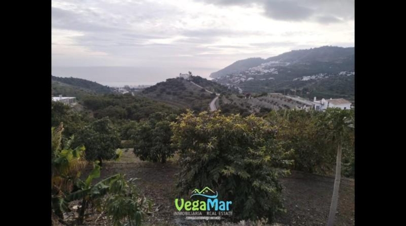 Santa Cruz de Tenerife - San Sebastián de la Gomera - 15000m2