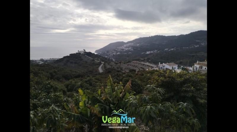 Santa Cruz de Tenerife - San Sebastián de la Gomera - 15000m2
