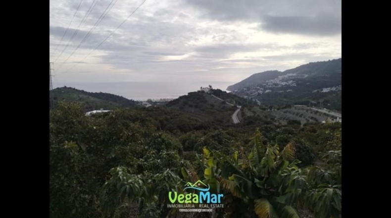 Santa Cruz de Tenerife - San Sebastián de la Gomera - 15000m2