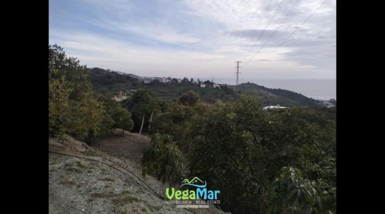 Santa Cruz de Tenerife - San Sebastián de la Gomera - 15000m2