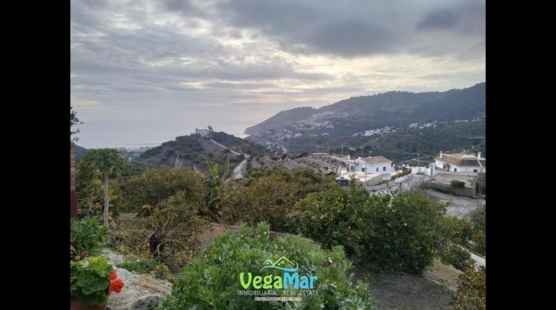 Santa Cruz de Tenerife - San Sebastián de la Gomera - 15000m2