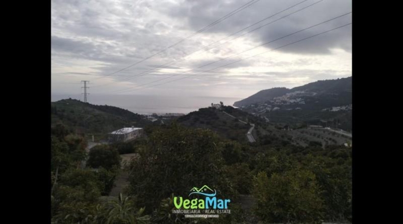 Santa Cruz de Tenerife - San Sebastián de la Gomera - 15000m2