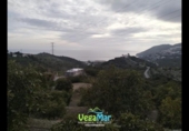 Chalet independiente con terreno en venta en la España, Almuñécar, ref: TR398208 foto