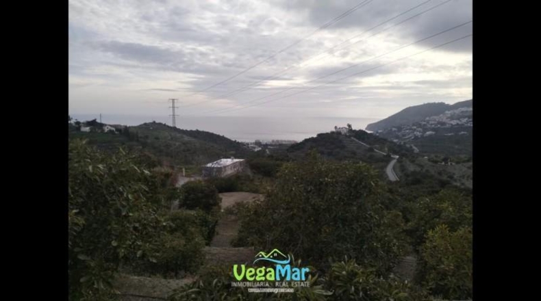 Santa Cruz de Tenerife - San Sebastián de la Gomera - 15000m2