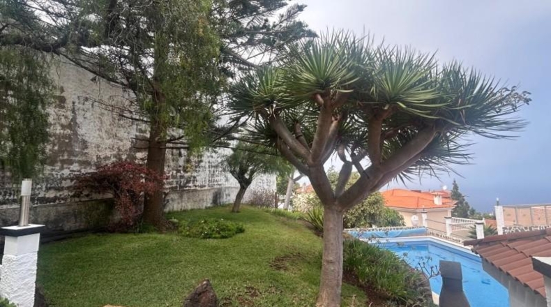 Santa Cruz de Tenerife - La Matanza de Acentejo - 973m2
