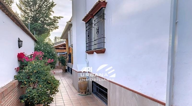 Córdoba - Lucena - 566m2