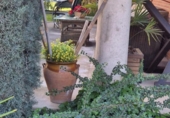 Casa de pueblo en venta en la España, Alpicat, ref: TR402755 foto