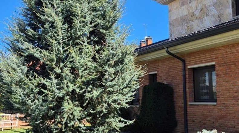 Lérida - Alpicat - 576m2
