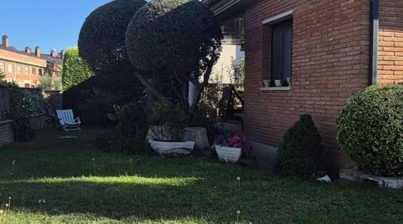 Lérida - Alpicat - 576m2