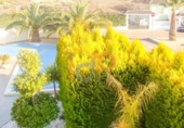 Chalet independiente con terreno en venta en la España, La Alamedilla, ref: TR399476 foto