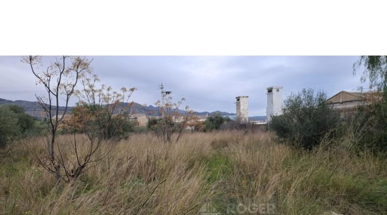Castellón - Castelló de la Plana - 8000m2