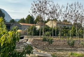 Foto 8