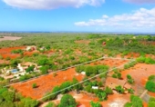 Terreno no urbanizable en venta en la España, Ses Salines, ref: TR128106 foto