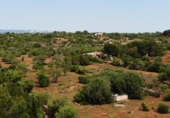Terreno no urbanizable en venta en la España, Ses Salines, ref: TR128106 foto