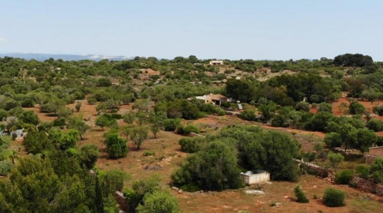 Islas Baleares - Las Salinas - 15800m2