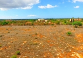 Terreno no urbanizable en venta en la España, Ses Salines, ref: TR128106 foto