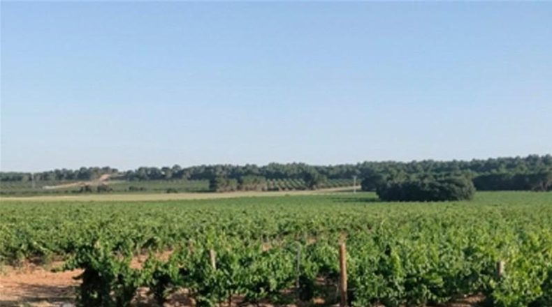 Ciudad Real - Puebla de Don Rodrigo - 324946m2