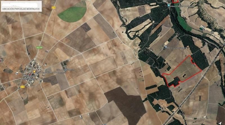Ciudad Real - Puebla de Don Rodrigo - 324946m2