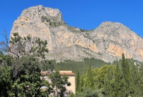 Foto 8