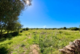 Santanyí 18573&nbsp;m²