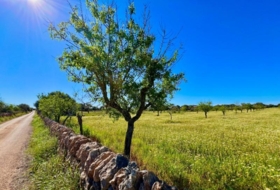 Santanyí 18573&nbsp;m²