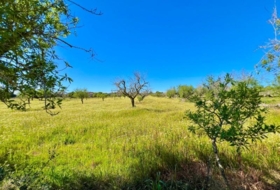Santanyí 18573&nbsp;m²